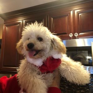 Meet your Posher, Fran